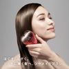 Reifa Heart Brush Rei / ReFa Heart BRUSH RAY (Silver)