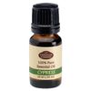 Fabulous Frannie Cypress 100% Pure, Undiluted Essential Oil 10ml (Pack of 1)