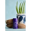 completely bare pit STOP Deodorant & Hair Inhibitor - Nourishing Coconut Oil & Hair Minimizers