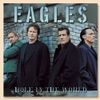 Eagles: Hole in the World [DVD] [2003] [DVD AUDIO]