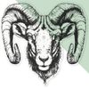 Large 460mm 'Ram Head ' Clear Static Window Cling Sticker/Decal (Black) (WC00102863)