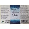 Natural Ginesis Oasis Conditioner - 32 oz