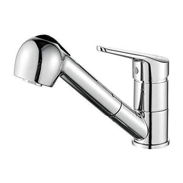 Kitchen Sink Mixer taps with Pull Out Spray Head, Chrome, Silver