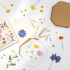 Flower Press 14.5 x 14.5 cm