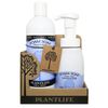 Value Set Lavender Foam Soap