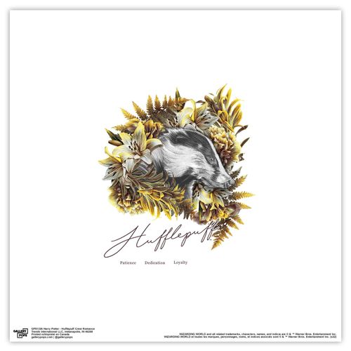Trends International Gallery Pops Harry Potter - Hufflepuff Crest Romance Wall Art Wall Poster, 12" x 12", Unframed Version