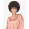 abelle (F4/30) CLOUD Synthetic Short Medium Afro Curly Wig