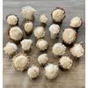 NEW Natural Shed Real Deer Antler Knobs / Pulls Cabinet Dresser Hardware (1 EA)
