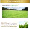 日本薬健 純国産大麦若葉100% 粉末 46パック【お得用　2箱セット】 金の青汁