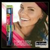 Dr. Collins Perio Plus Compact Toothbrush, (Colors Vary) (Pack of 4)