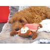 Rosewood LITTLE NIPPERS CHEEKY CHIMP,Brown,Small