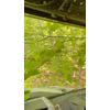 Polaris RZR Pro XP 4 Nets