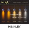 Hinkley Lumiglo G40 Led Globe E26 Bulb Clear
