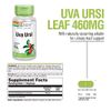 SOLARAY Uva Ursi Leaf 460 mg | Healthy Bladder, Kidney & Urinary Tract Function Support | Non-GMO | 100ct (Take 3 Daily)