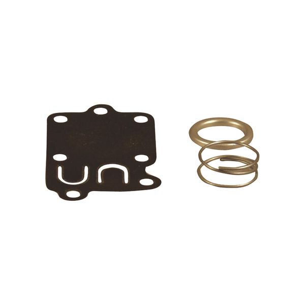 Briggs & Stratton Diaphragm Kit 5021K
