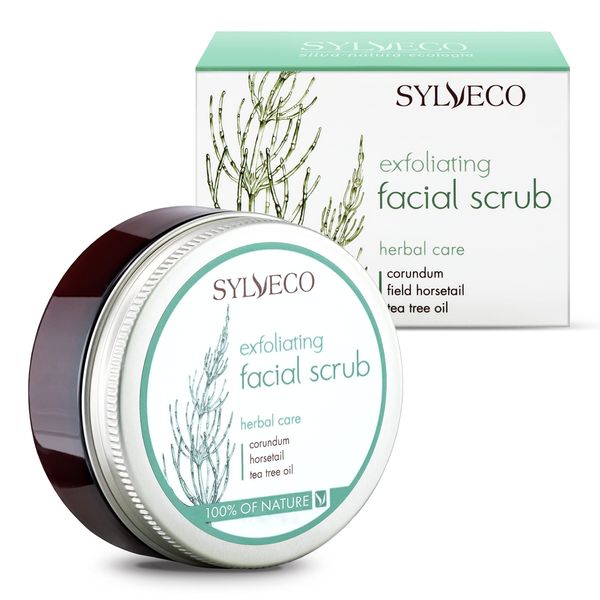 SYLVECO Reinigendes Gesichtspeeling 85g - Cremige Peeling Gesicht - Face Scrub Skincare Naturkosmetik für Frauen und Männer