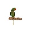Polly's Cholla Cactus Bird Perch, Medium
