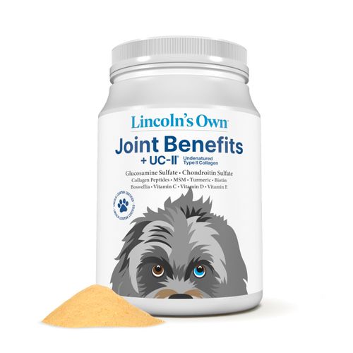 ANDREW LESSMAN Lincoln’s Own Joint Benefits + UC-II for Dogs. 60 Servings. Advanced Glucosamine, Chondroitin, Free-Range and UC-II Collagen Peptide Powder for Dogs. No Additives of Any Kind.