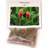 4 Pink Hawaiian Tropical Mix: Cattleya, Plumeria,Ginge