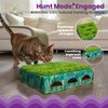 Catstages Grass Patch Hunting Box, Small