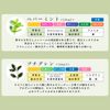 Essential Oil Set (Deodorizing Aroma Set)