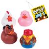 Fun Express Your Ride is Ducky Farm Character Kit for 12