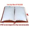 Do It Yourself DIY Durable Waterproof Pet Dog Cat Bed Cover 37"x29" Medium Rust
