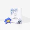 SNOW FOX SKINCARE Face Pack (5 Per Box) (Hot Stone)