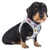 Curli Best Air Mesh Harness Clasp Comic Light Gray 2025 XS Size