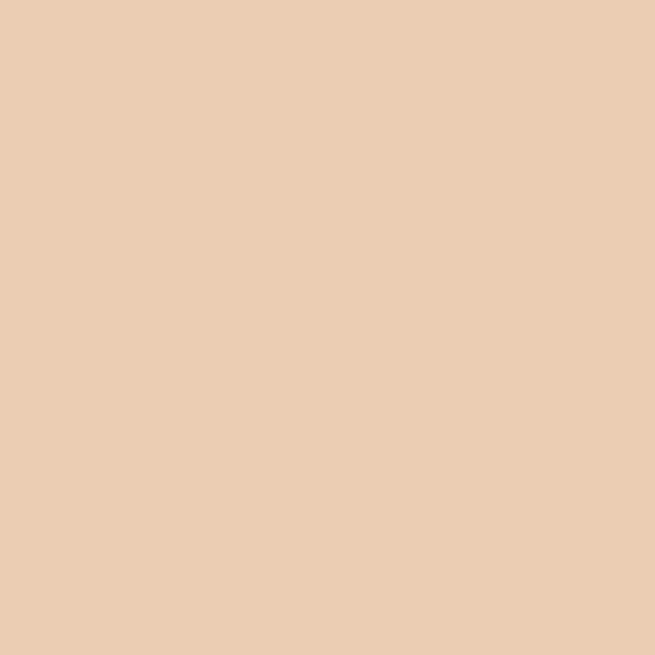 American Clay Plaster Color Pack - Borrego Tan