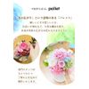 Hanayu Preserved Flower Palette Memory