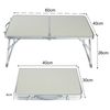 DayPlus Portable Folding Table No Assembly Required Computer Laptop Desk Foldable Camping Picnic Kitchen Work Top Table (60x40x26cm, White)