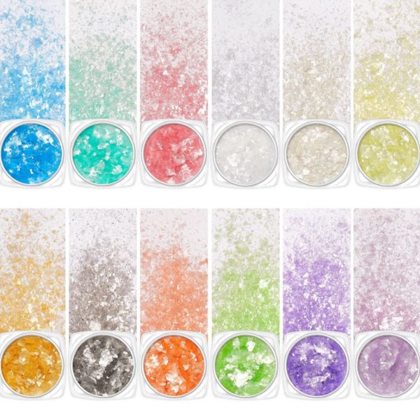 Kingsie Nail Hologram Set of 12 Random Hologram Ultra Thin Aurora Flakes Powder Nail Parts for Gel Nail Art Resin Decor Parts in Case (Set of 12)