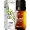 🔥 2 Lavender  Essential Oil  Diffuser Skin Hair & Massage Aromatherapy 0.34 fl