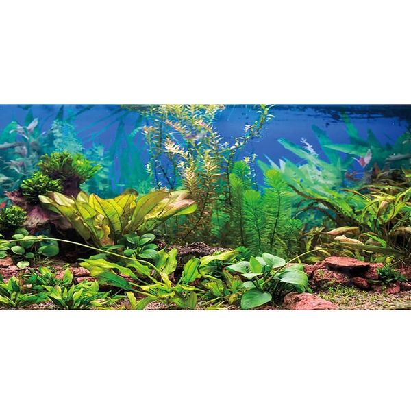 AWERT 48x24 inches Aquarium Background Aquatic Plant River Bed & Lake Fish Tank Background Vinyl