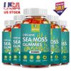 Organic Irish Sea Moss Gummies - 2000mg | 300 Gummies | Immune & Thyroid Support