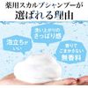 Lucido Medicated Scalp Refill for Ages 40 (Shampoo x 2)