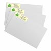 Frog on a Lily Pad Designer Rolled Address Labels with Elegant Plastic Dispenser