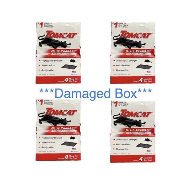 4 Packs Tomcat Eugenol Glue Traps Mouse Size (16 Traps Total) **DAMAGED BOX**