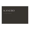 Kanebo Colored Shadow 03