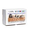 Spa Pure Kittens in Basket: 6 Adorable Kittens Hiding Inside Each Colorful Bath Bomb, XL 5 oz Each (6 Count) Pack of 1, Multicolor