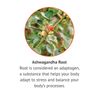 Ashwagandha Extract 450mg 90ct capsules