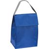 Cool Bag / Colour: Blue