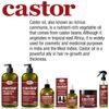 Difeel Castor Pro-Growth Shampoo 12 oz.