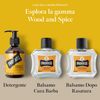 Proraso After Shave Balm WOOD & SPICE