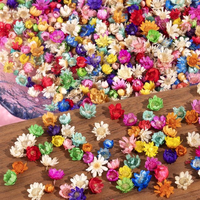 300 PCS Small Dried Flowers for Crafts - Mini Dried Flowers for Resin, Tiny Natural Real Dried Pressed Flowers Bulk for DIY Jewelry Earrings Epoxy Molds, Candles Soap Making