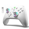 ECHTPower PC Gaming Controller- Hall Effect Joystick, 2.4G & Wired 1000Hz Polling Rate, 800mAh Battery, Adjustable Turbo/Vibration, Wireless Controller for PC/Switch 2/iOS/Android