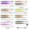 OSP HP Minnow 3.1 in TW218 Constant Wins Fish