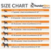 ThunderShirt Polo - Soothing Vest for Dogs