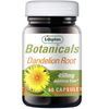 LIFEPLAN Dandelion Root 60caps (Pack of 3)